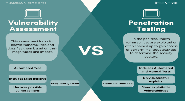 I will perform a vulnerability assessment and penetration test on your website or web application